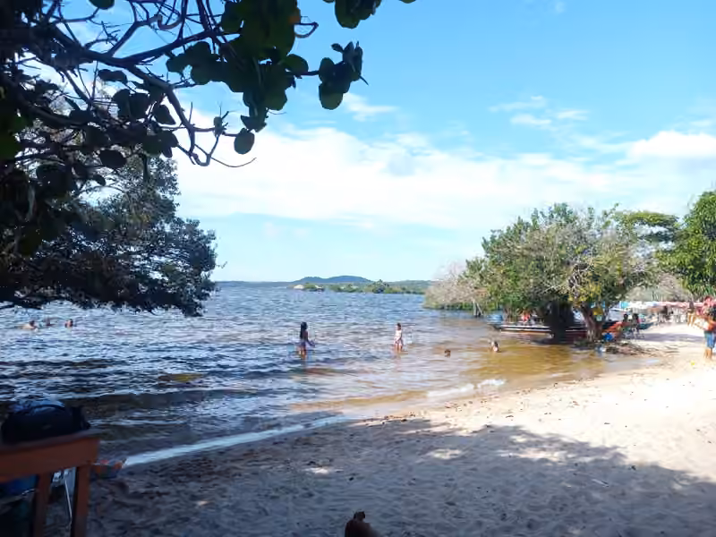 Flusslandschaft im brasilianischen Amazonasgebiet