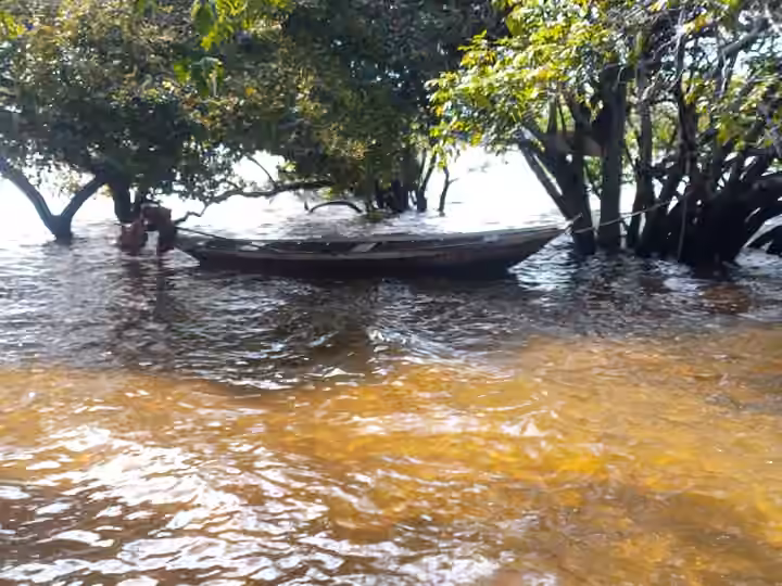 Amazonas-Ufer mit Vegetation am Wasser