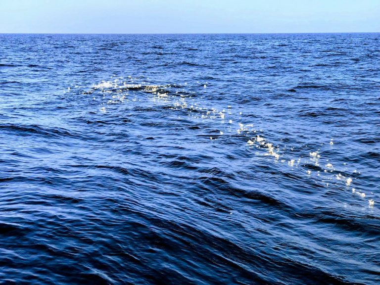 Tirar cenizas en el mar