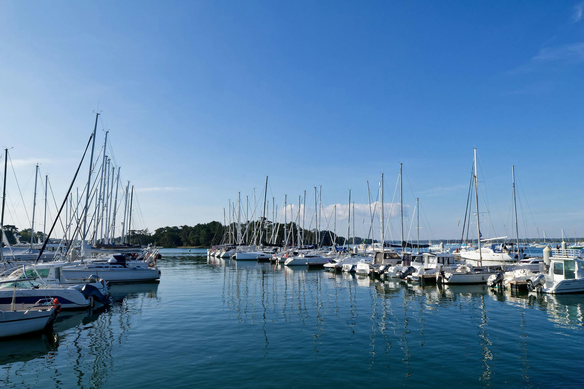 a peaceful harbor scene featuring sailboats under