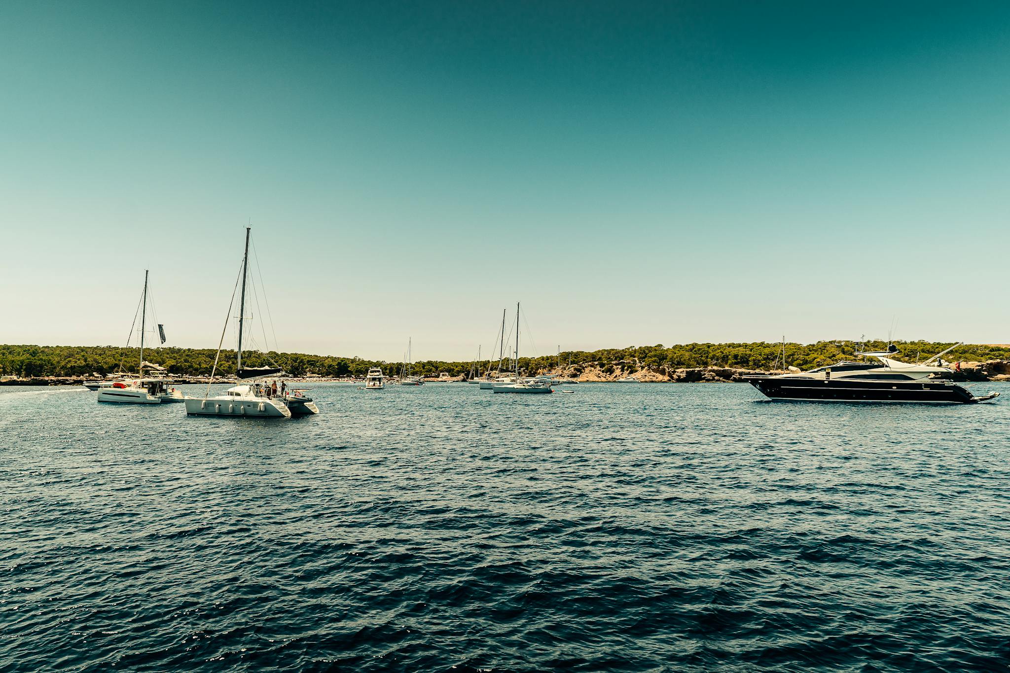 picturesque scene of sailboats and yachts on