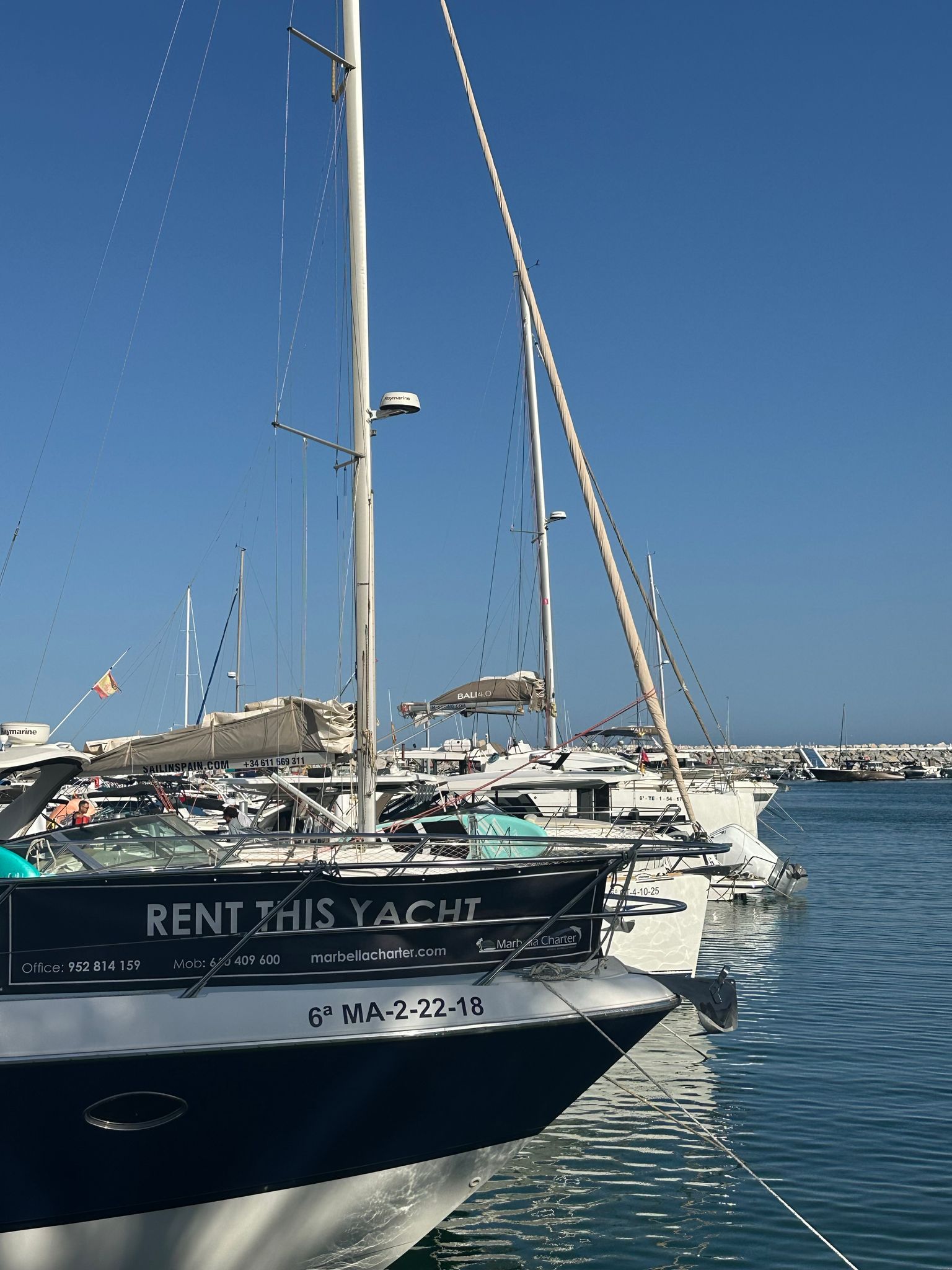 sailing yachts docked at a serene marina